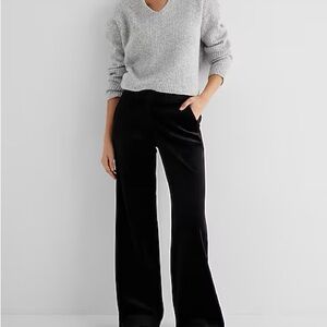Express Velvet Relaxed Trouser Pant in Burgundy